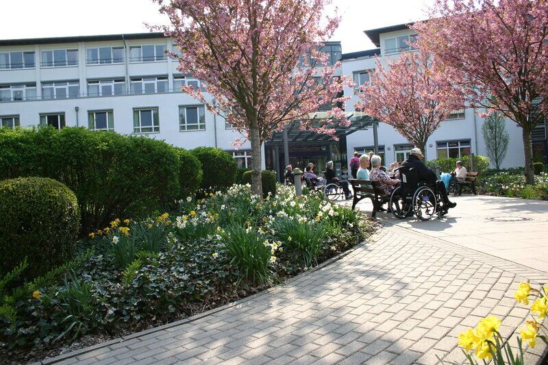 Eingang Weg Mit Kirschbl